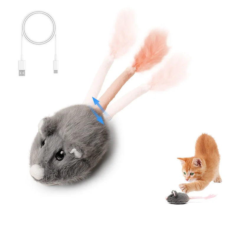 CatchMe : Souris mobile rechargeable