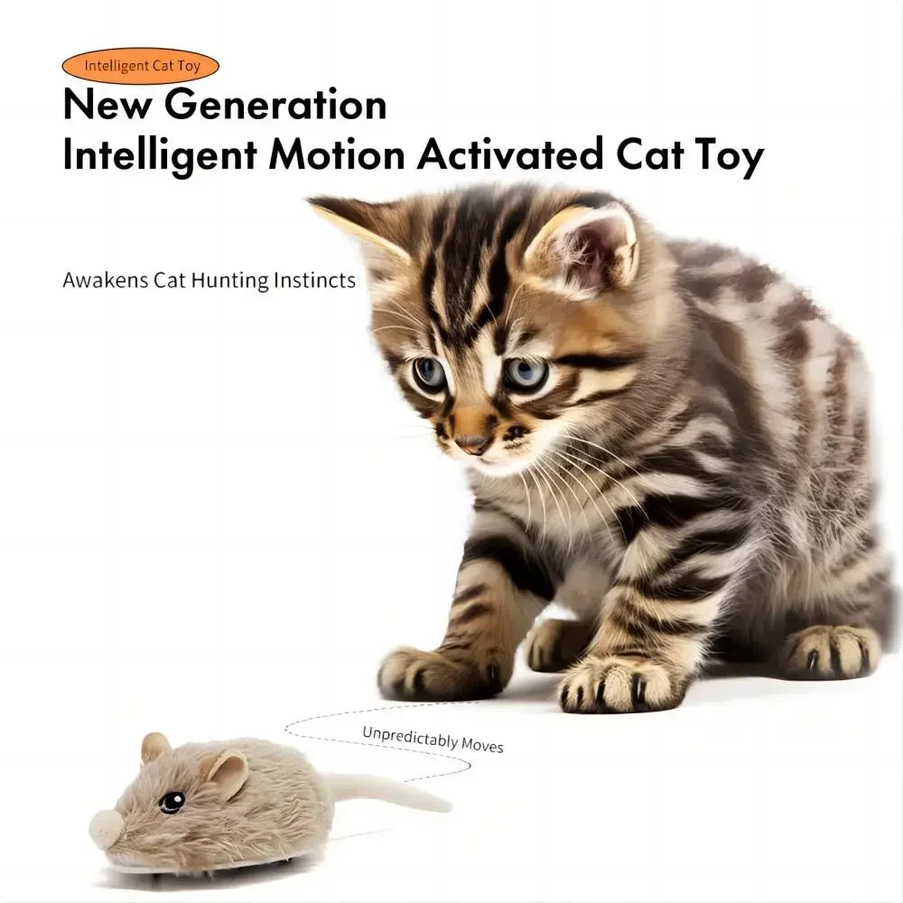 CatchMe : Souris mobile rechargeable