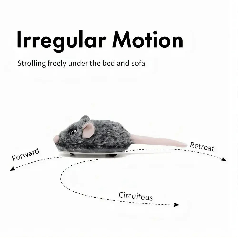CatchMe : Souris mobile rechargeable