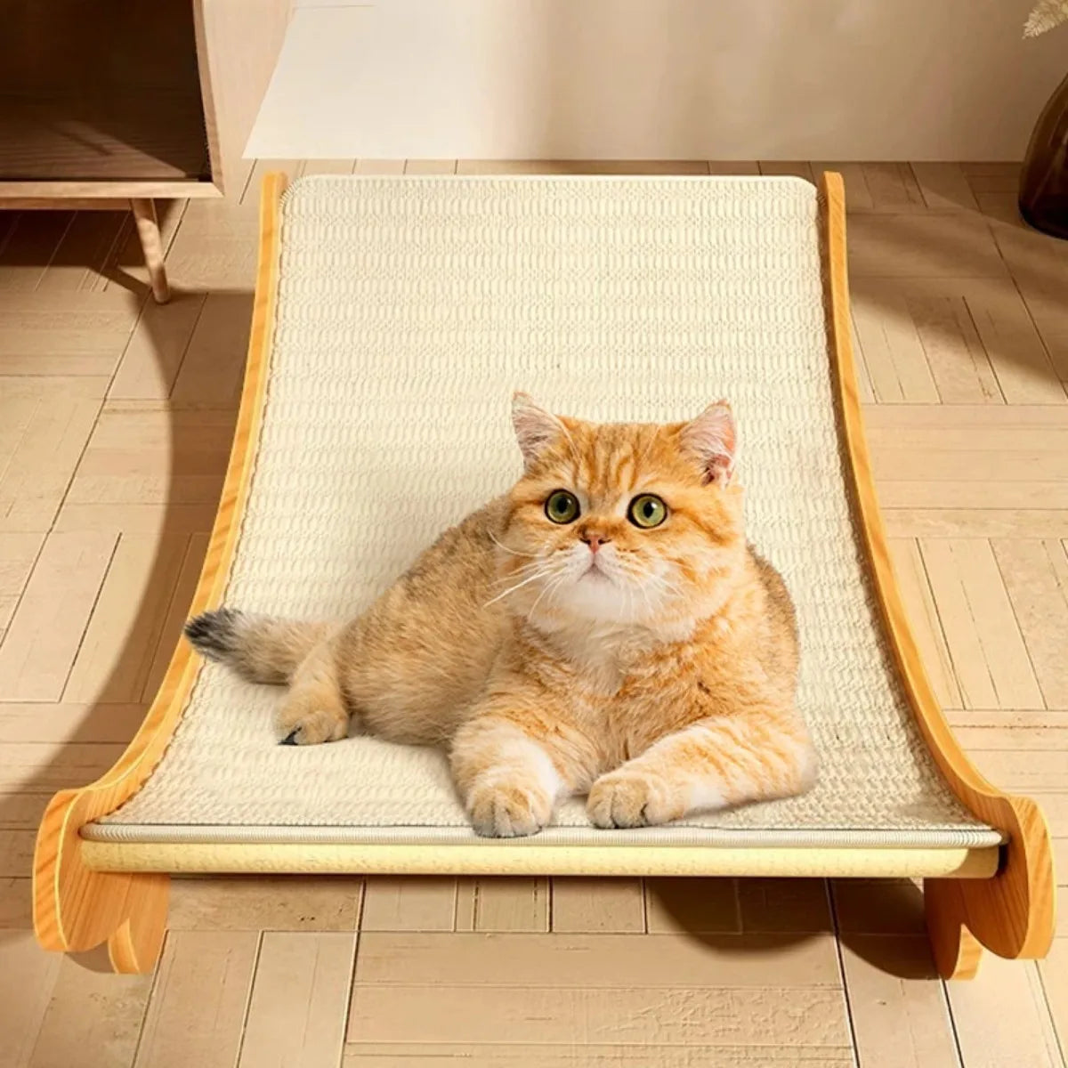 Scratch & Snooze : lit griffoir multifonctionnel pour chat