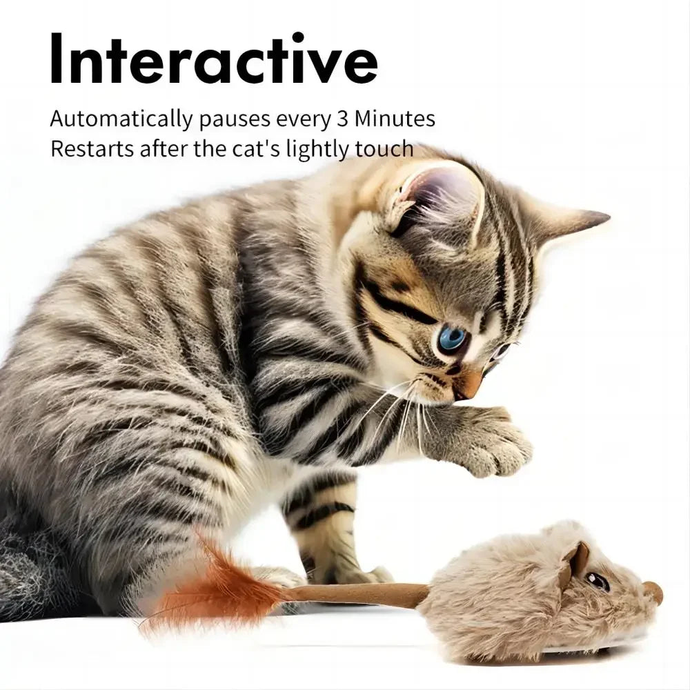 CatchMe : Souris mobile rechargeable