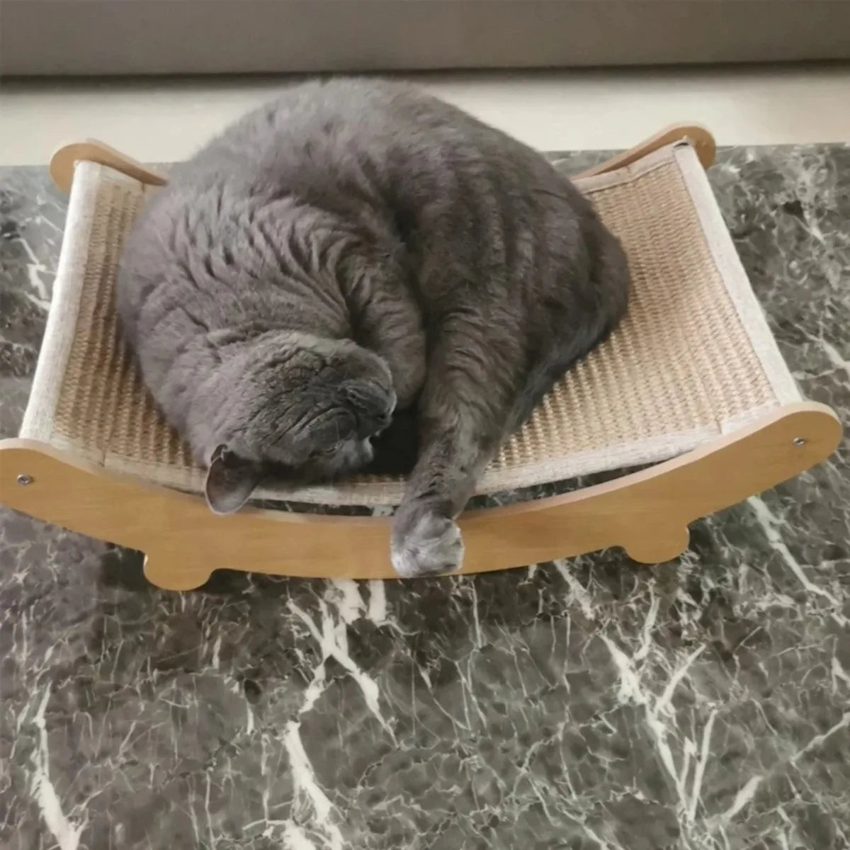 Scratch & Snooze : lit griffoir multifonctionnel pour chat